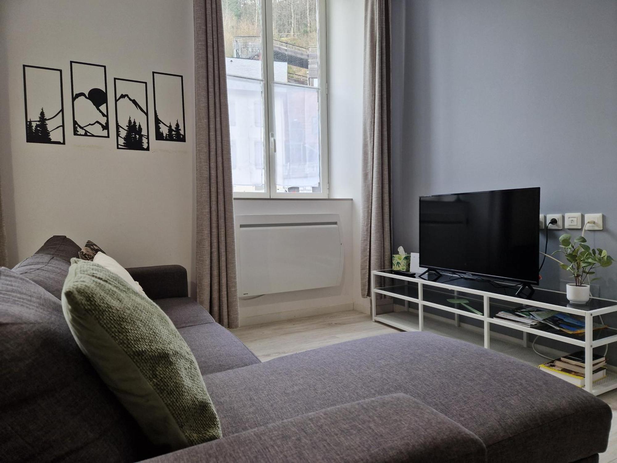Les Appartements De Lucie Eaux-Bonnes Eksteriør billede